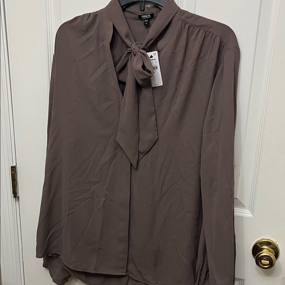 Express Women's Blouse in Brown